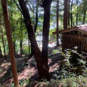 登山口まで下りてきた。
社があるので手を合わせて下山完了。
ありがとうございました。