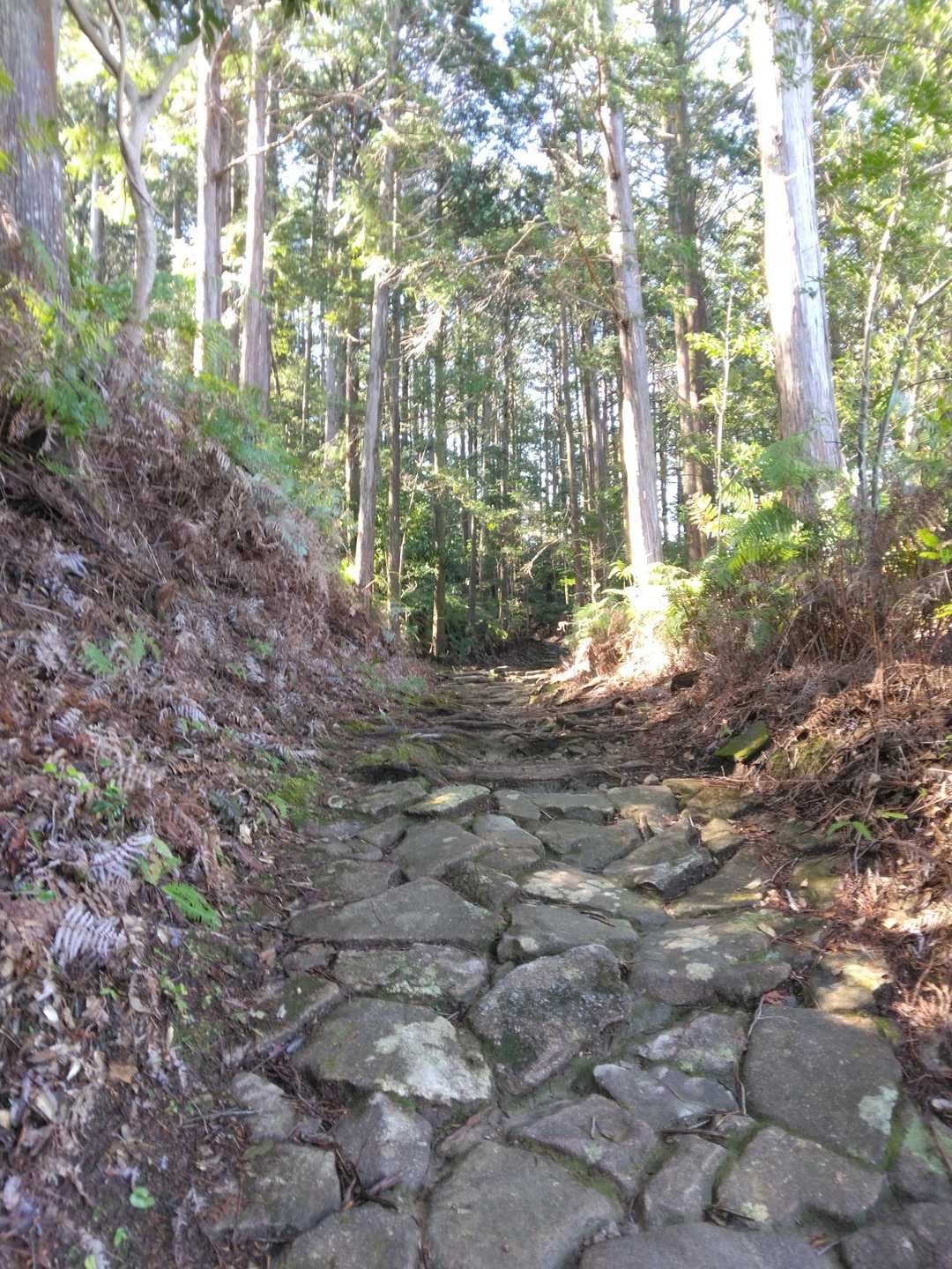 馬越峠登り口-馬越峠-天狗倉山 往復コースの写真