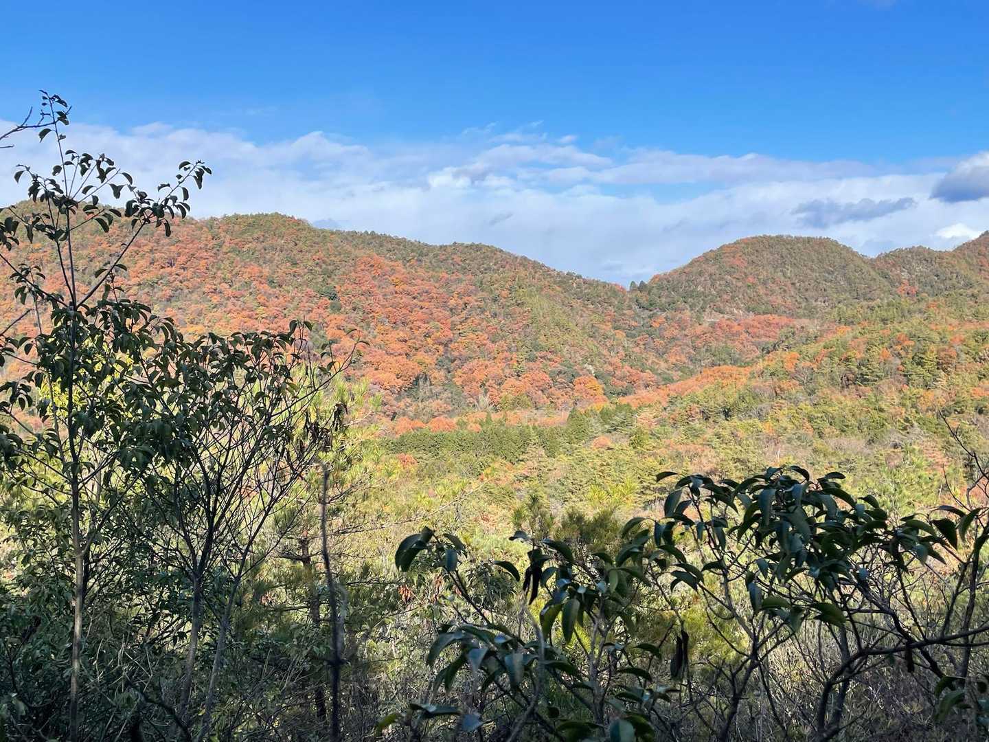 まだまだ紅葉の山肌が綺麗！