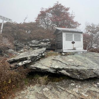 ちち山に登頂
笹ヶ峰が昔、はは山と呼ばれていたのに対し、ここが、ちち山。
父ちゃん、やっと会いに来たよ、疲れました😮‍💨