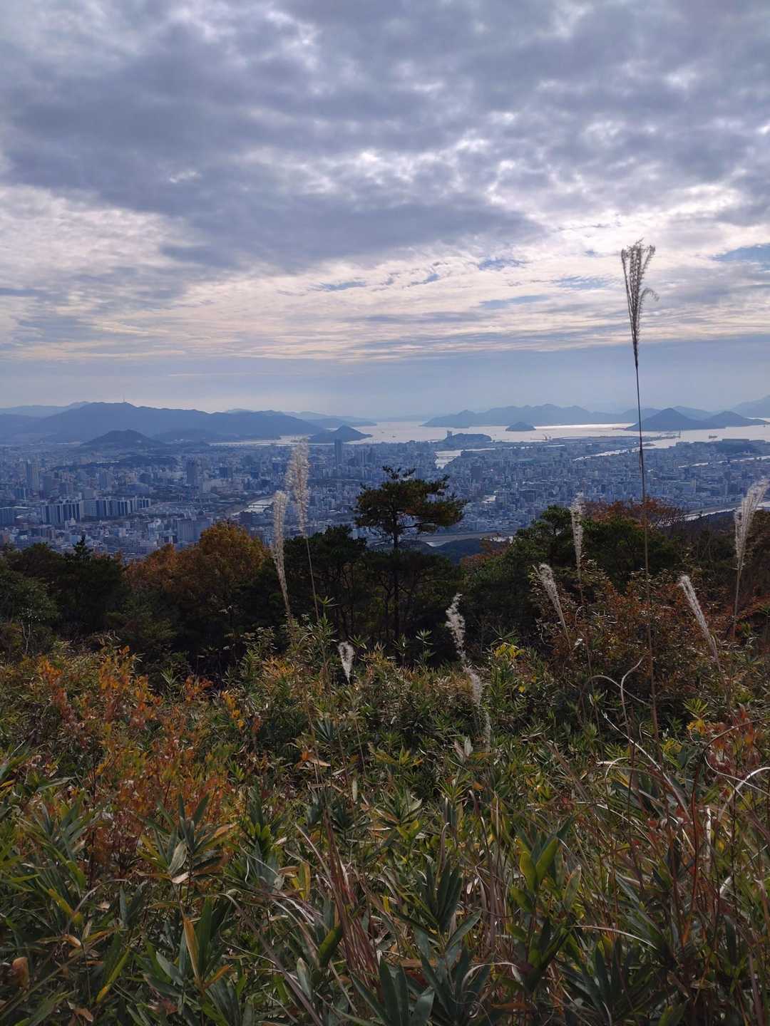 頂上で