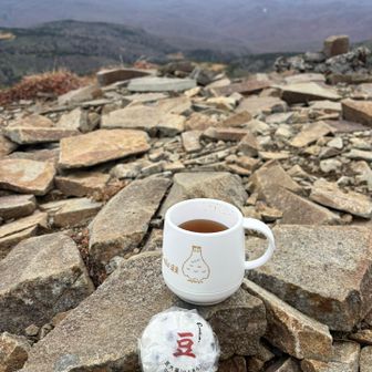 初心に返って〝大福は正義〟