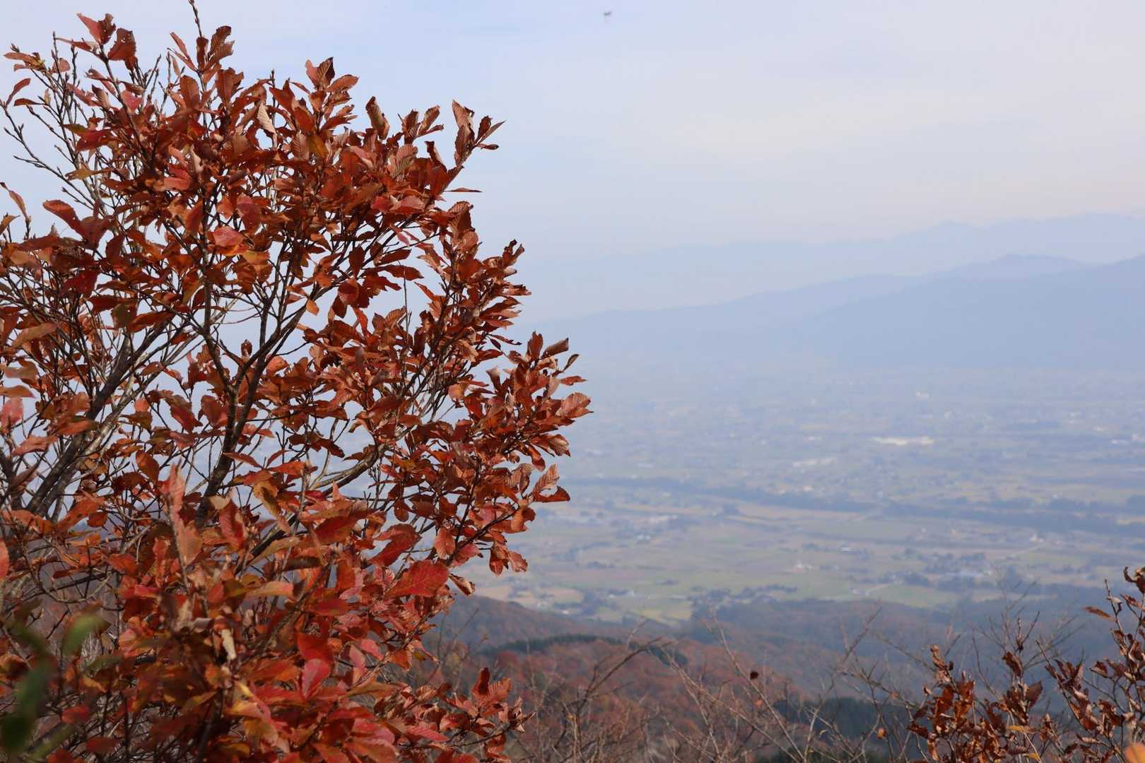 白兀山-蛇尾山-夕霧峠-奥医王山-三千坊 周回コースの写真