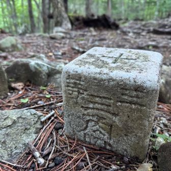 最終日⛰️

眠れないのでまた暗いうちに出て
千枚小屋からさわら島ロッヂまで。
距離がなが〜い☺️、、
