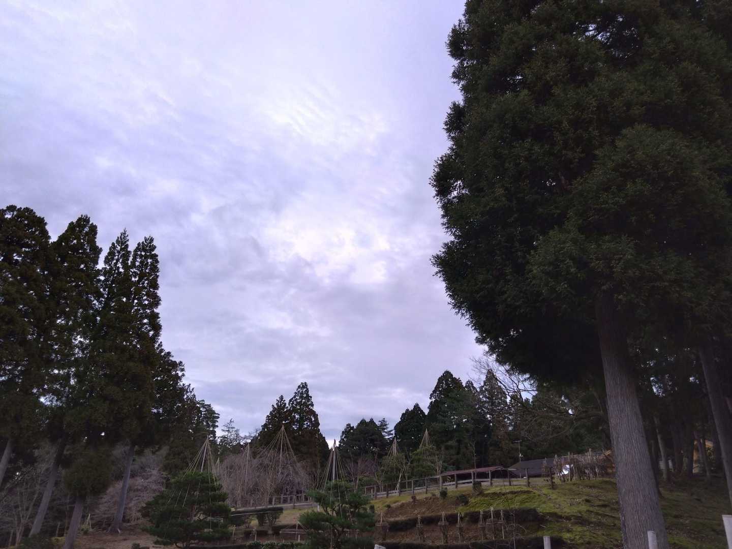 鵯山-天狗山 往復コースの写真