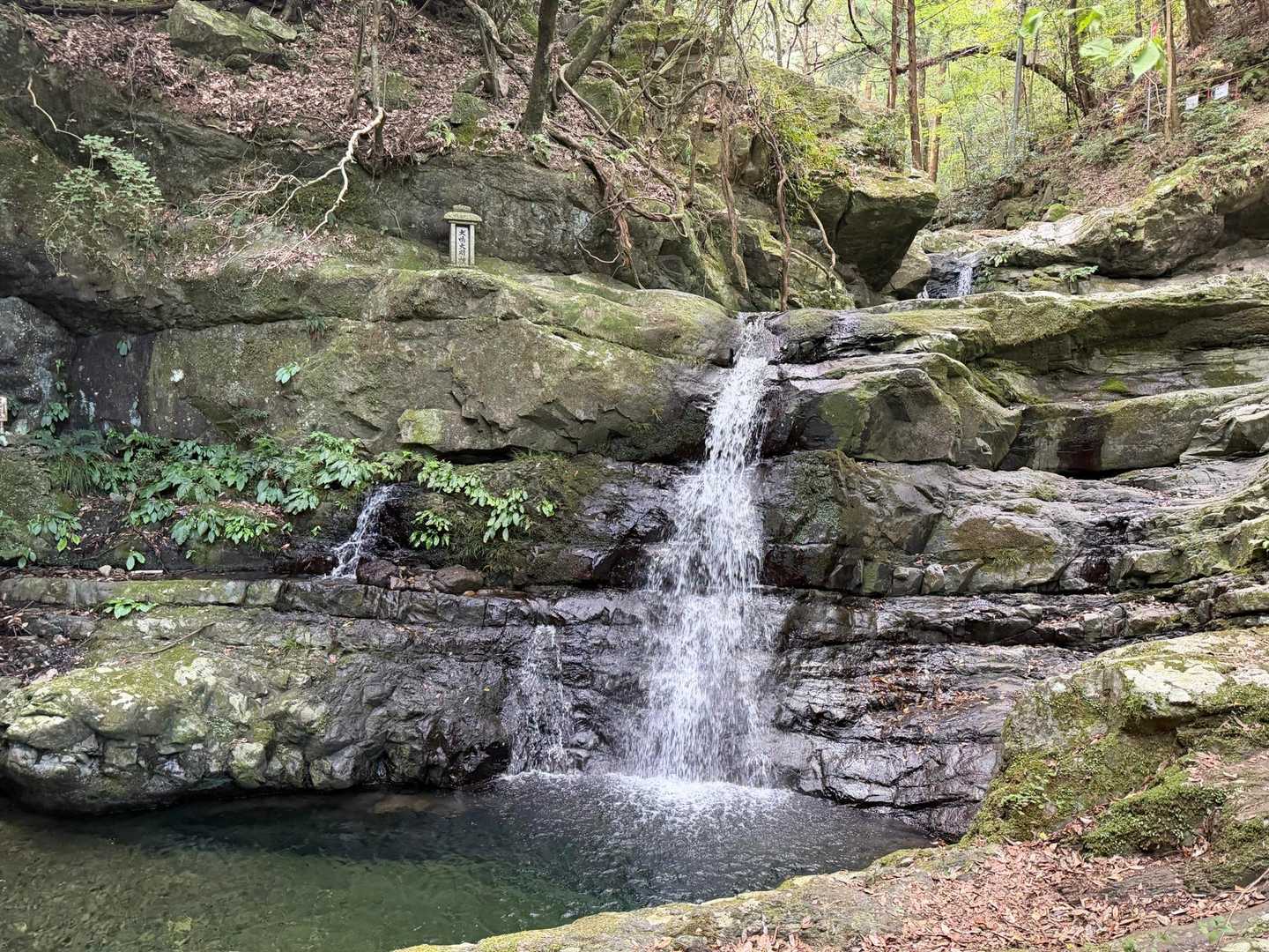 七宝龍寺本堂-高城山-犬鳴山バス停 周回コースの写真