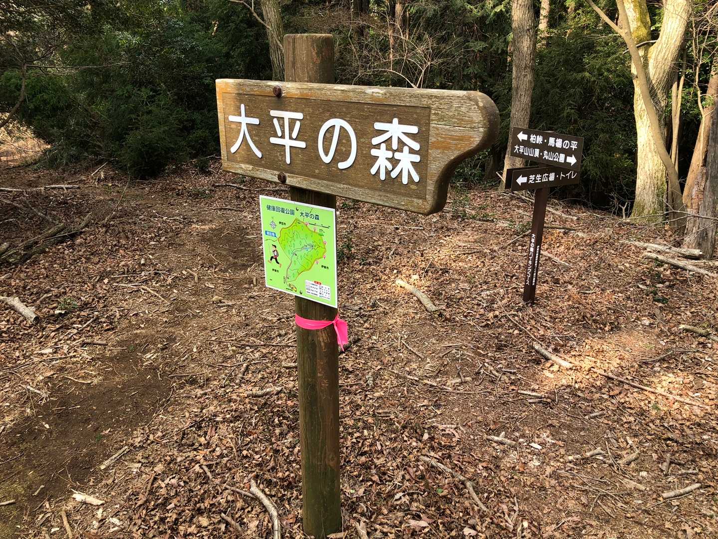 大平山-柏峠 縦走コースの写真