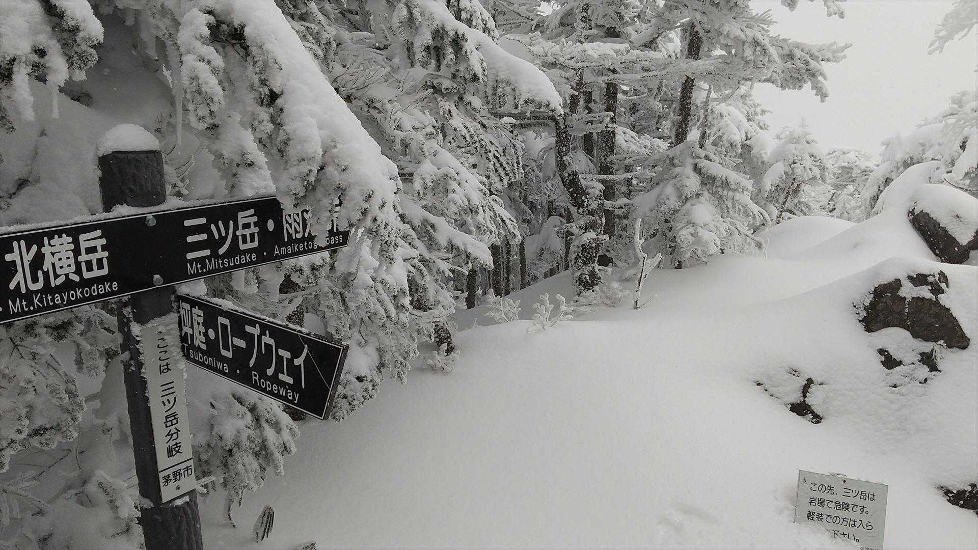 三ッ岳に向かう横道
次は踏み跡の多い日に来よう
