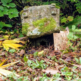 辛抱しながら歩き詰めて🚶‍➡️🤸🚶
栂峰中腹の✨️蔵王神社✨️到着👍️