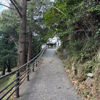 鏡割り？どんと焼きかな？
地域の方が準備をされていました😊