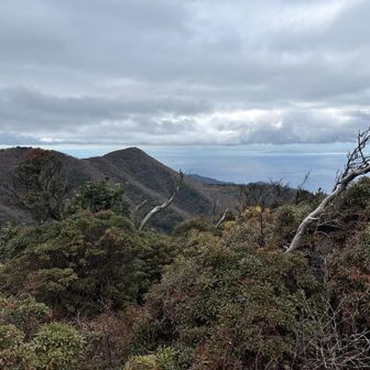 さすが、伊豆半島。
山と海のコラボ、いいね👍