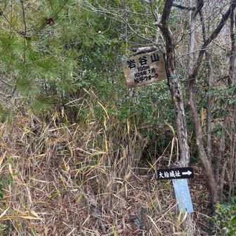 山頂はこの奥か？

藪漕ぎは嫌だな😖

先日の藪漕ぎでマダニに喰われた疑惑😣