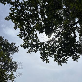 また晴れ間が出てきました。