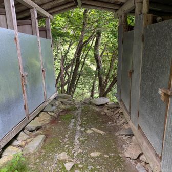 トイレは複数あるが、ノブに釘打ちしてあり、使えるのは一箇所のみ(左奥から2つ目)
催した状態で来たら焦るだろう。
「何だ使えないのか〜」と勘違いしてもおかしくはない。