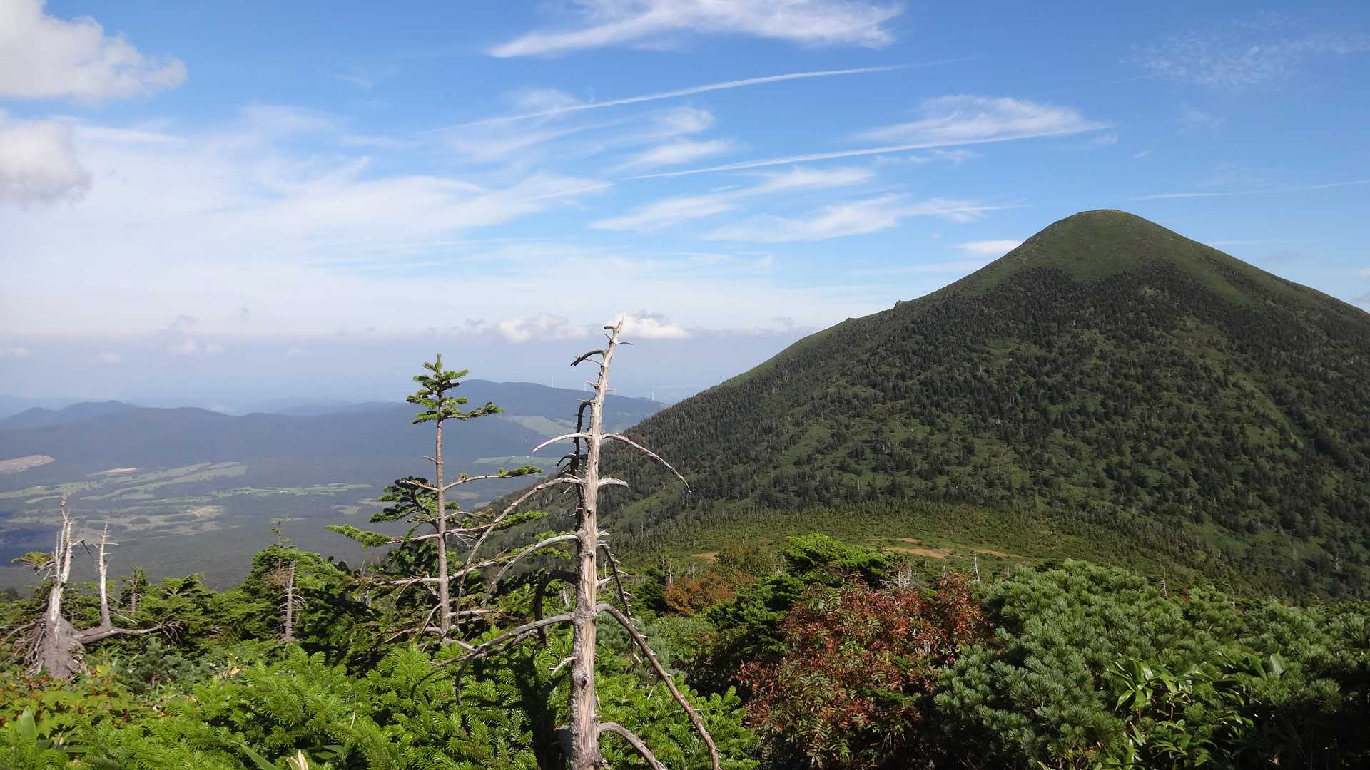 振り返り、高田大岳。
