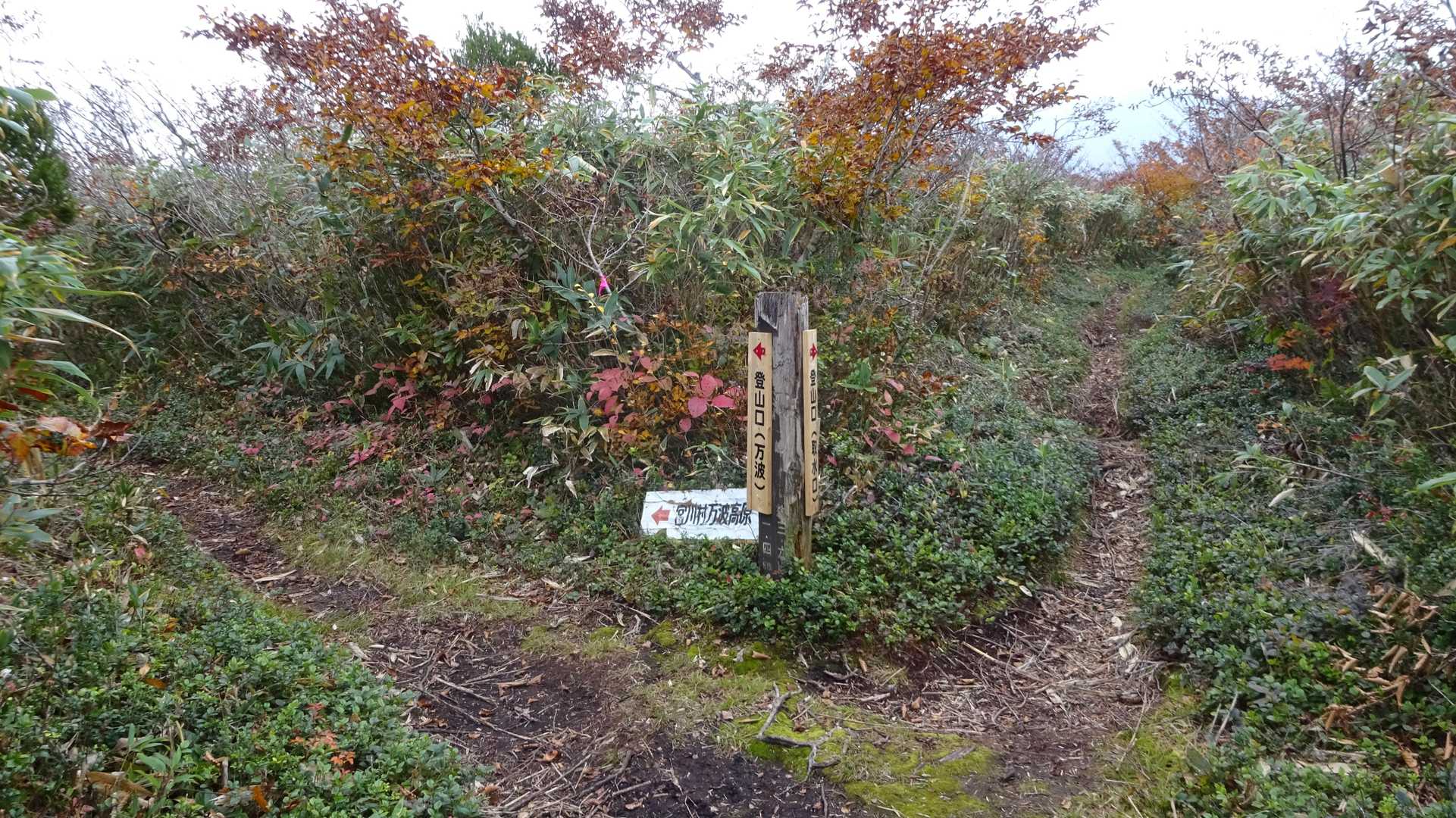 万波登山口へ向かう