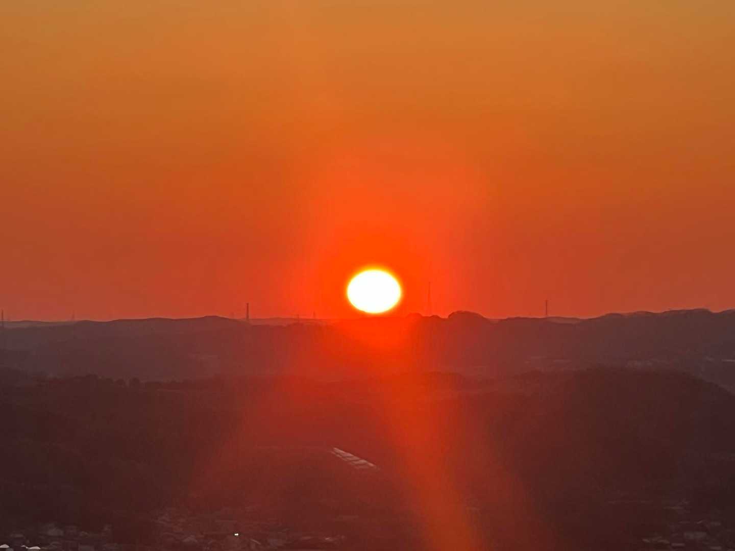 出た！
今年も宜しく頼みます😃