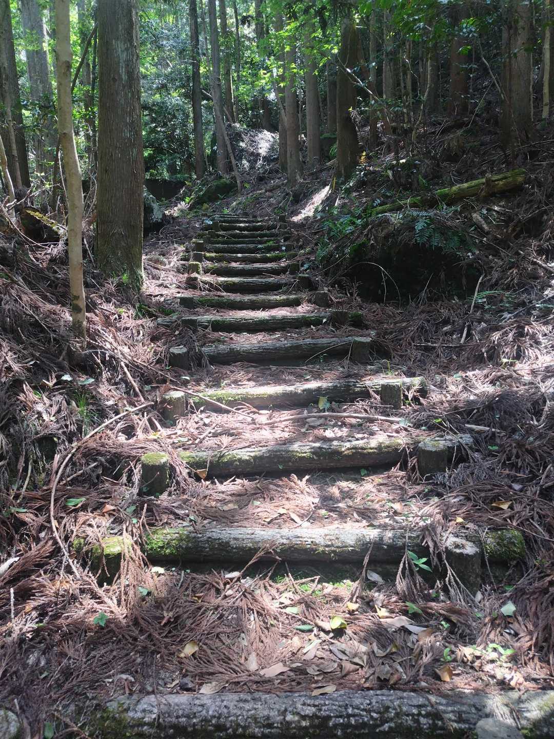 階段　多め😫