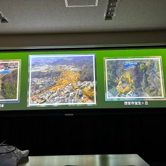 阪神淡路大震災でこのような事態になっていたことを改めて知る