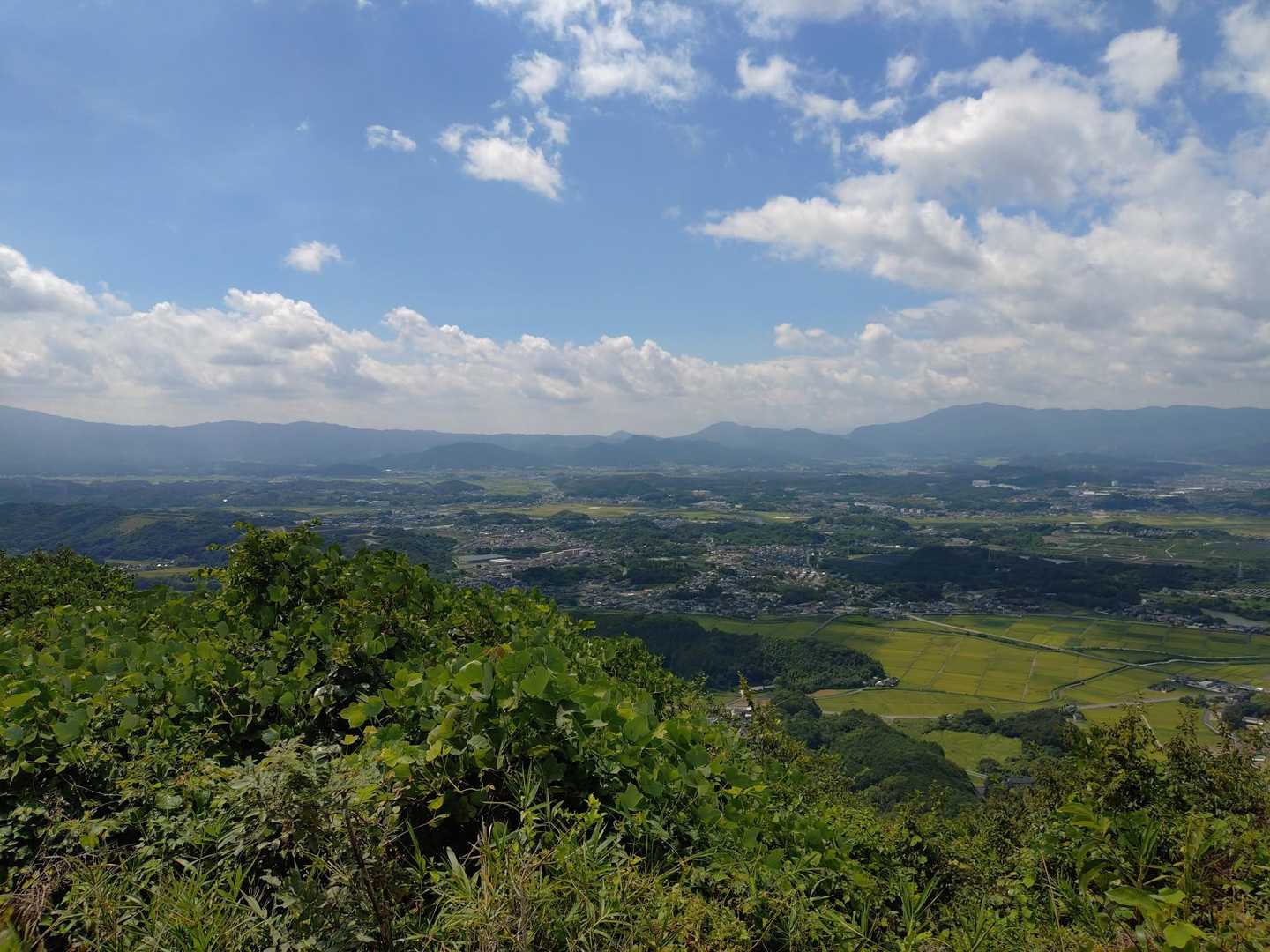 関の山登山口-関の山 往復コースの写真