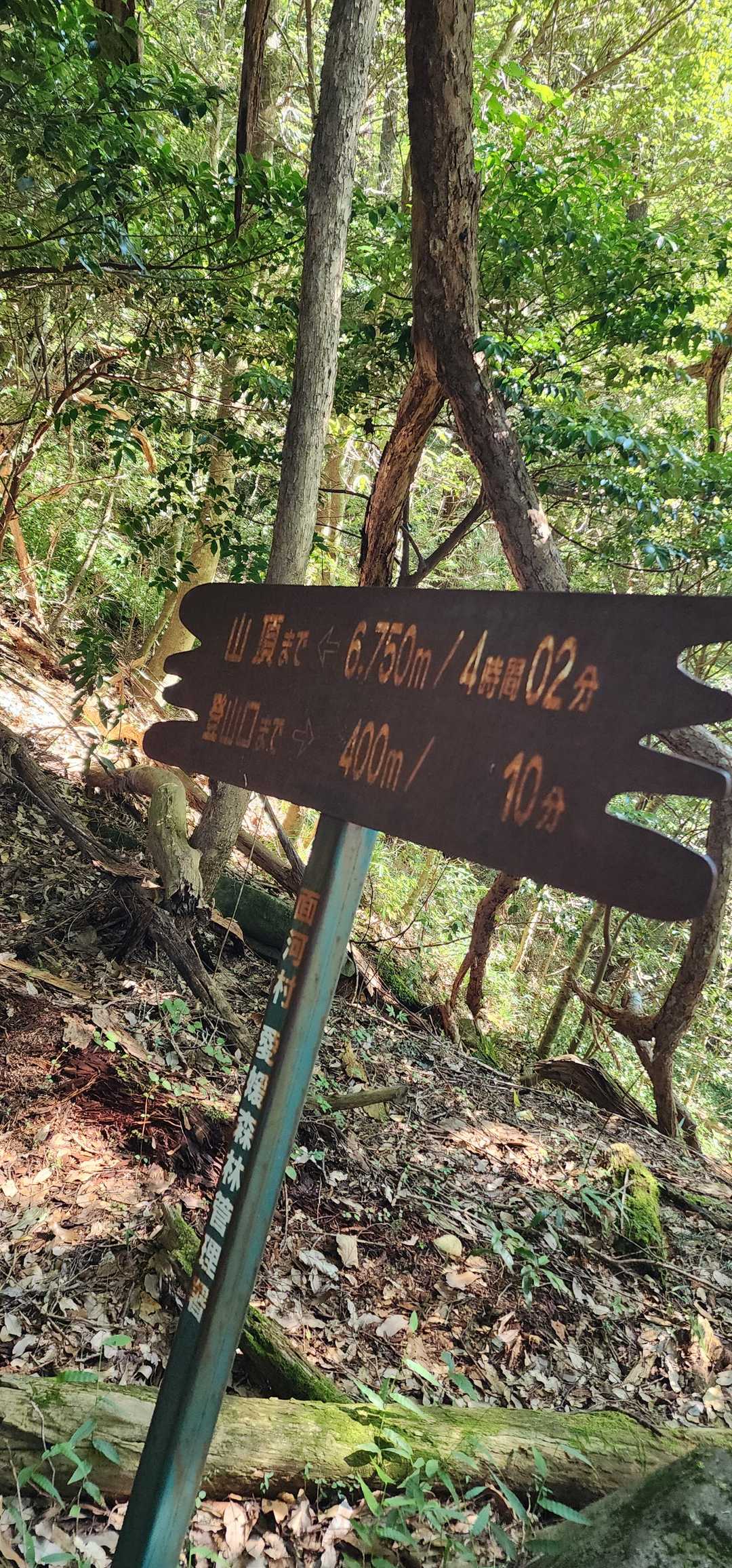 序盤の急登ゾーンは過酷で写真がありません(/ω＼)