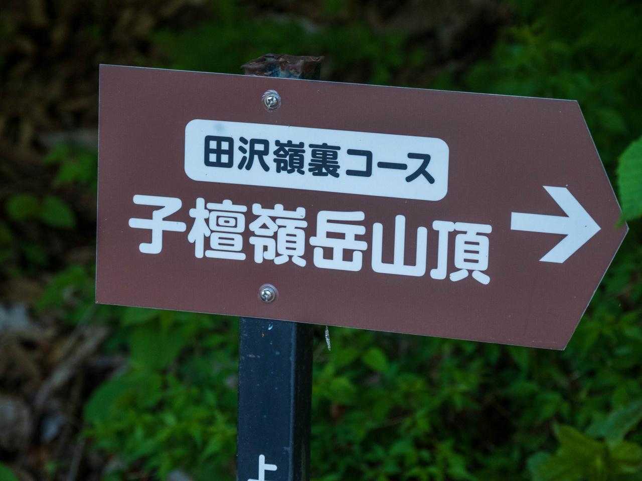 田沢嶺浦コース登山道入口-子檀嶺岳 往復コースの写真