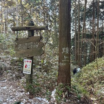 久留野峠❣️
神福山辺りで出会ったオフロードサイクルされているお兄さん達に追いついた😆和歌山へ降りるそうで 地図で確認してあげて 笹藪ルートへ💦
『気をつけて〜‼️』とお見送り👋🏻