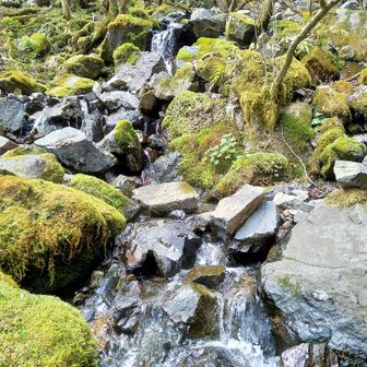 休憩所付近の渓流の岩に腰掛けて休憩✨