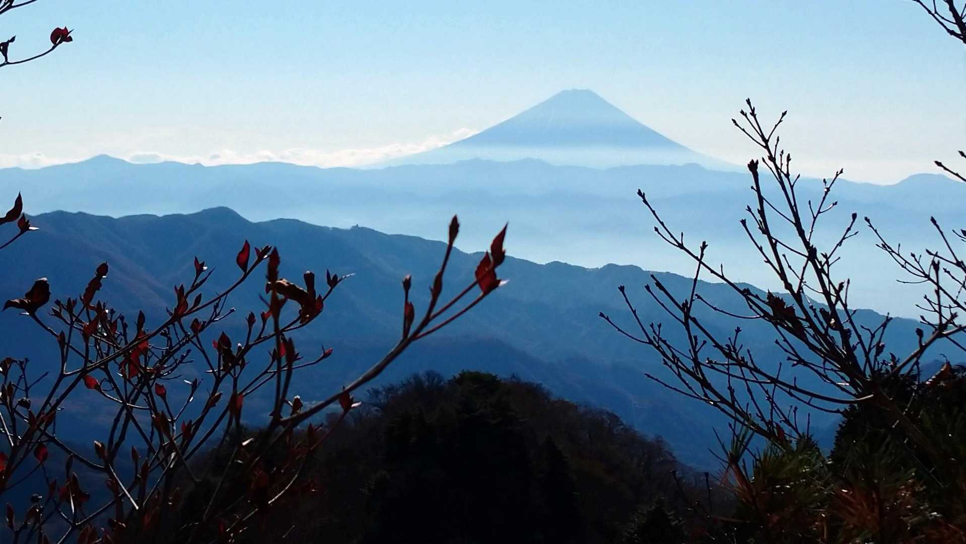 久しぶりに富士山を見ながらの食事❗
この贅沢な時間を噛み締める😆
自然の中に身を置く大切さ、有り難さを実感✨