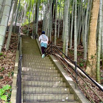 「鍛錬の段」を登って登山口へ…最近、鍛錬不足なので気を引き締めます☺️💦