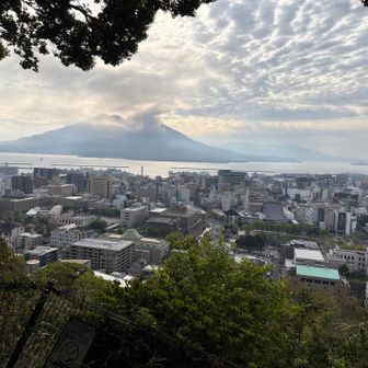 テラスから見た桜島