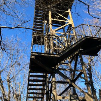 高いタワーが立っています。
木々に葉の多い夏の季節でも展望が楽しめます