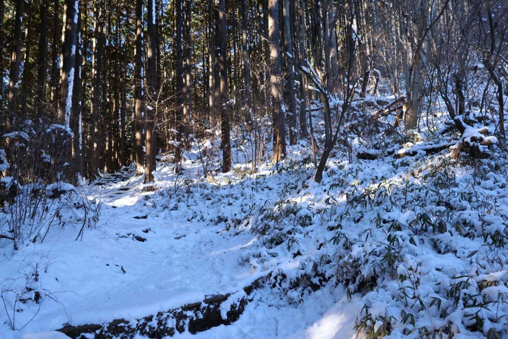 新雪なのでチェンスパ無しでも登れました