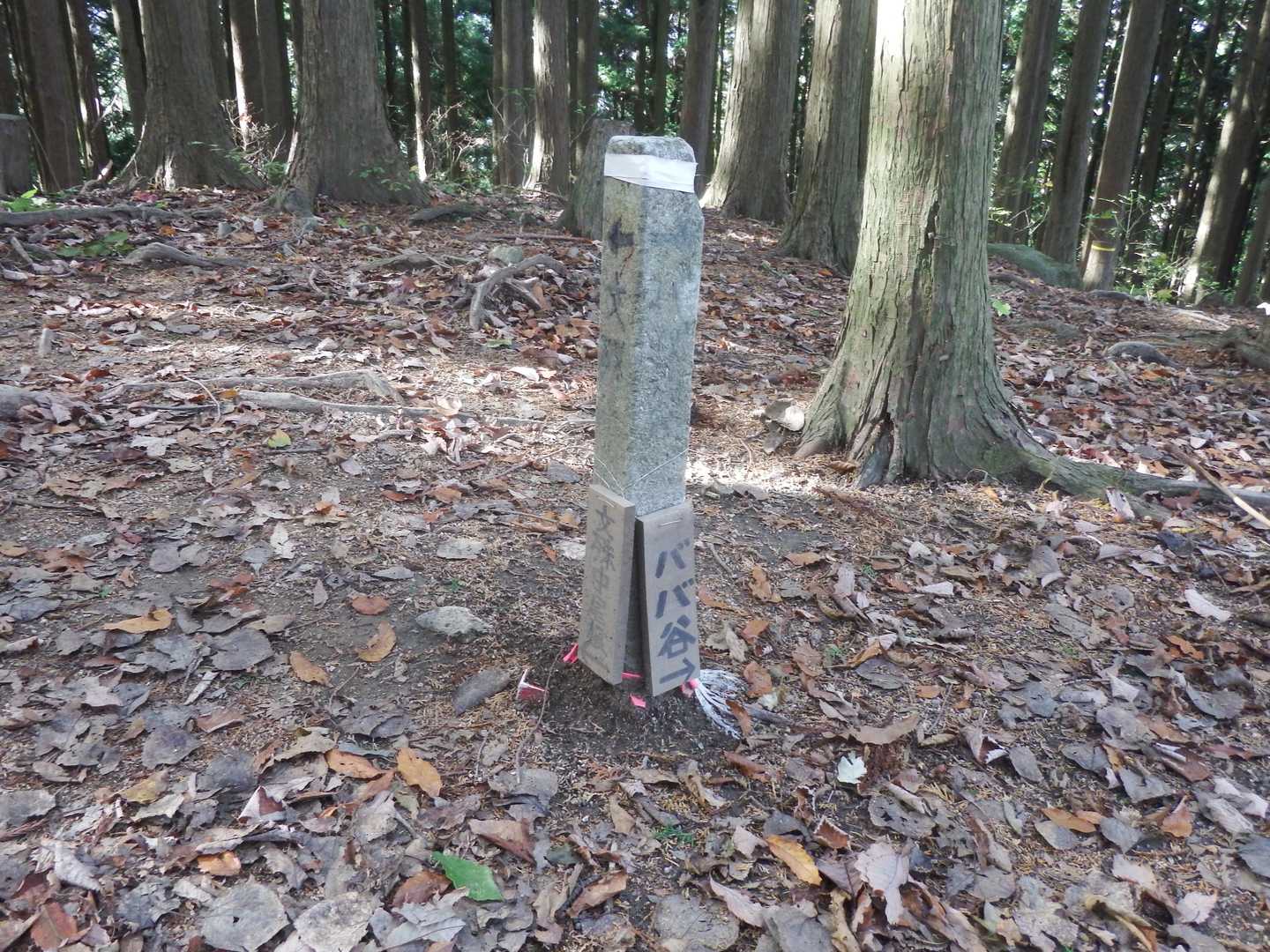 百ヶ辻登山口-金剛山 往復コースの写真