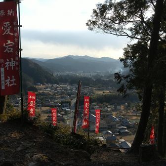 ヤマタノムロチ