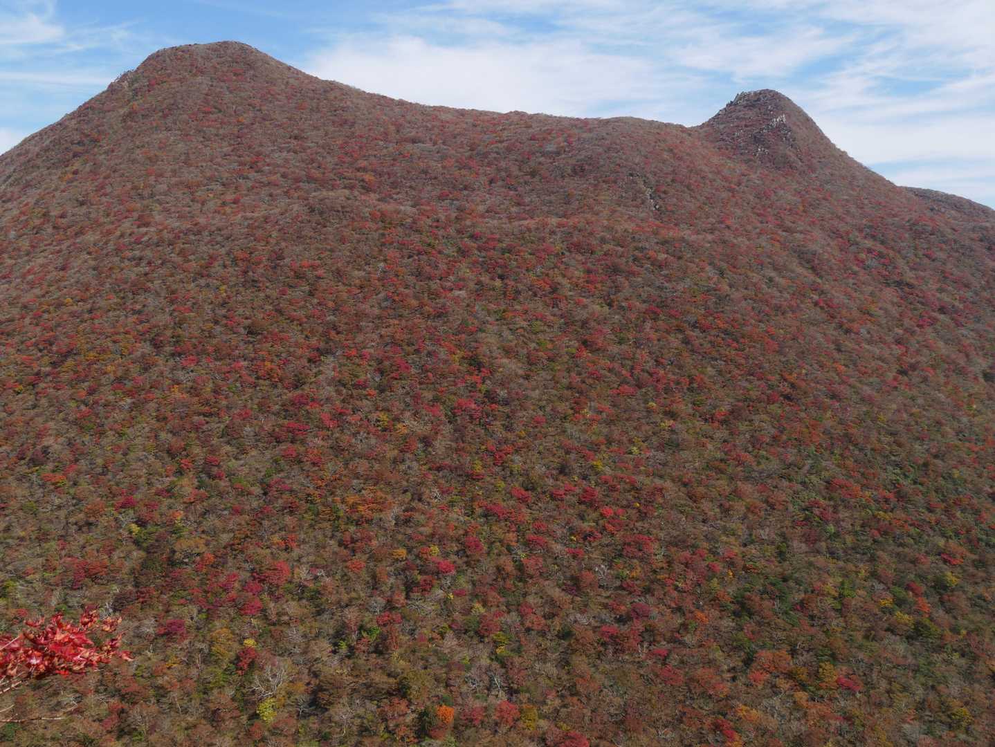 黒岳方面の紅葉も素晴らしい！