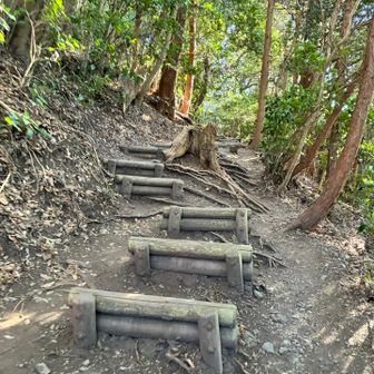 さらに進みます