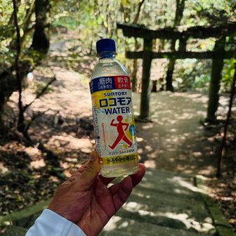 最近CMしてる
足腰は比較的丈夫なんだけど興味本位で買ってみた
レモンスカッシュの炭酸抜けたやつみたい😅