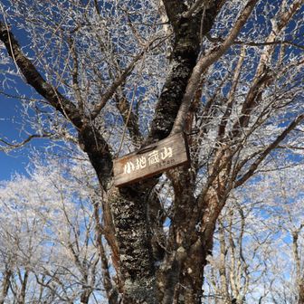 小地蔵岳の山頂標識
