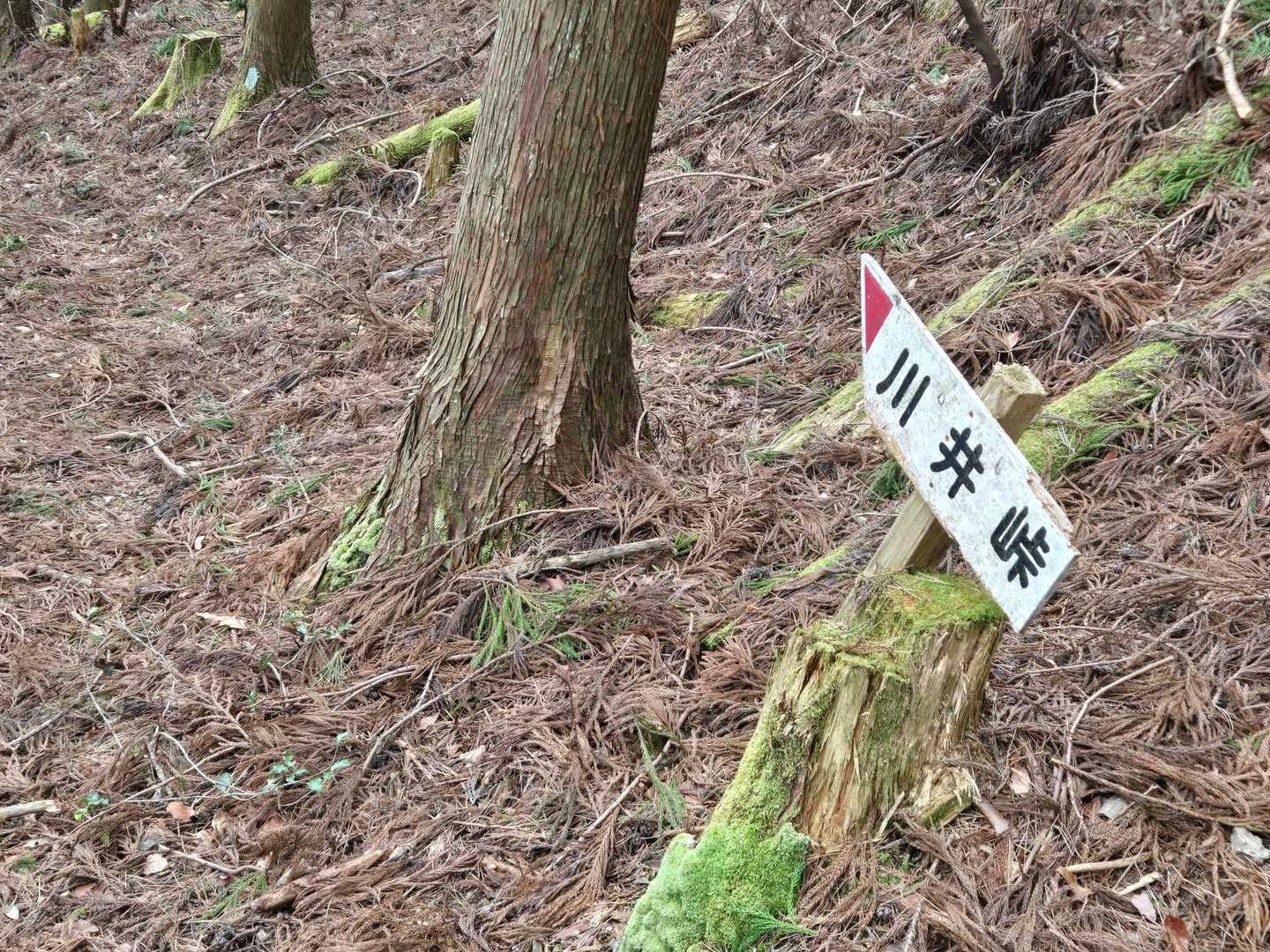 道標が適宜あります。