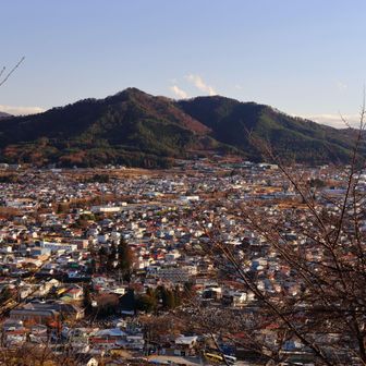 杓子山の南西にある忍草山と思われます。杓子山に登ったときは鳥居地峠で下山したので登ったことはありません。