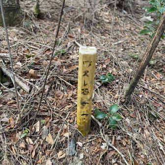 最初の目安のワスレ岩