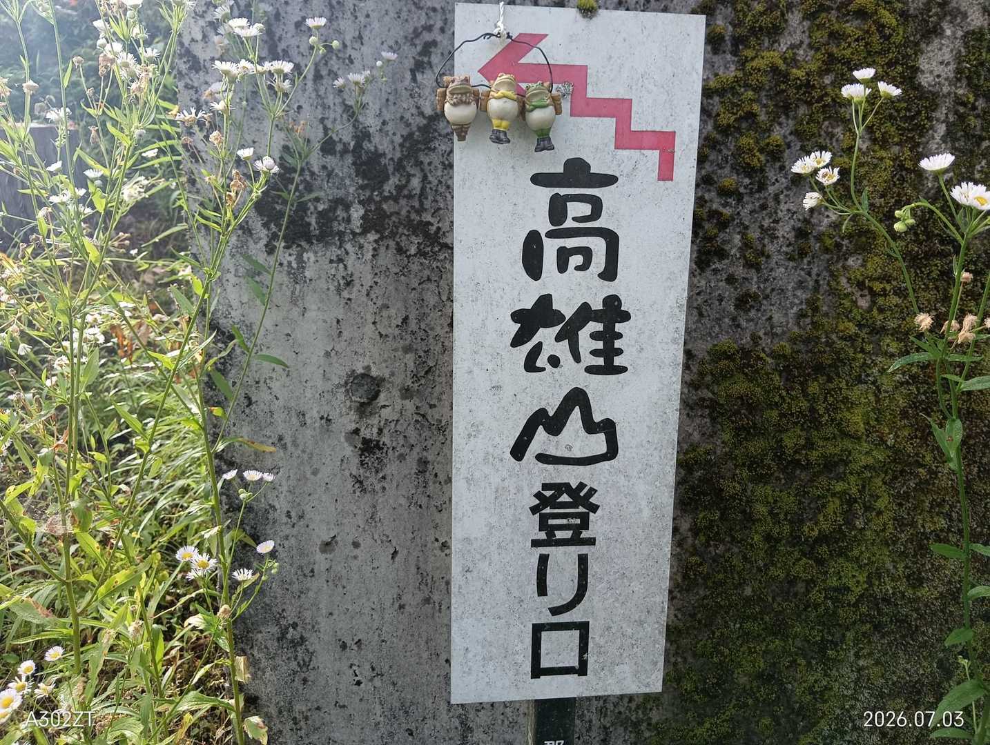 標識と同行者🐸