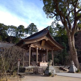 戻りました！観光客もそこそこ🧑‍🤝‍🧑　山の図書館に初めて寄ってみました🏠️貴重な山関係の本が沢山