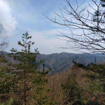 イイ感じやわぁ✨️