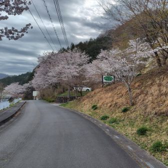 皆野町営駐車場。1台だけ…