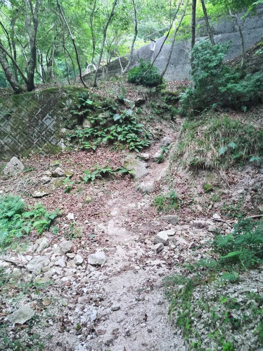 登山口すぐの渡渉場は水が無い❗️😱💦