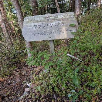 あと100mで山頂だそうです(^^)