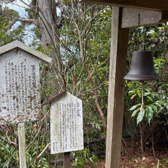 🔔　軽く鳴らしたつもりだったけど　思ったより「愛の音」が大きくびっくりした🤣 大きな愛だね❤️