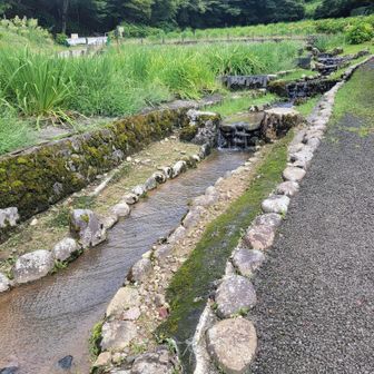 卯辰山花菖蒲園。
立ち入り禁止の道を迂回してショートカット出来ました。